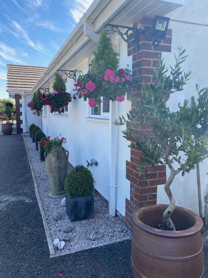 Toppesfield House B&B 뷰드 외부 사진