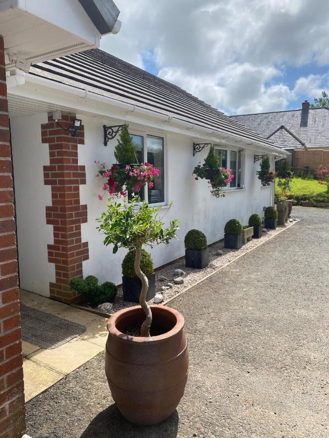 Toppesfield House B&B 뷰드 외부 사진