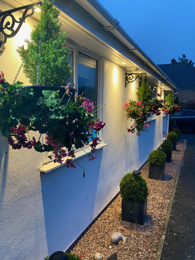 Toppesfield House B&B 뷰드 외부 사진