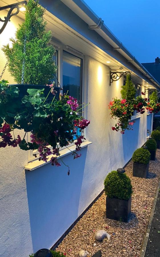 Toppesfield House B&B 뷰드 외부 사진
