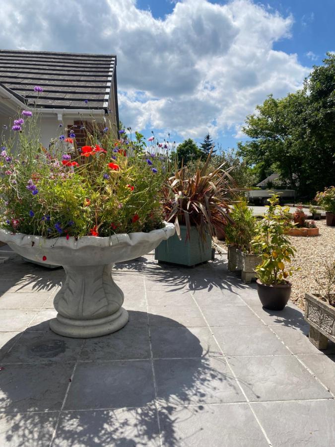 Toppesfield House B&B 뷰드 외부 사진